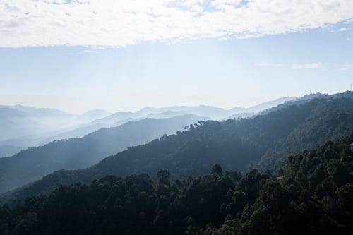Sunset Ridge – 2 bedroom villa in Kasauli, Himachal Pradesh