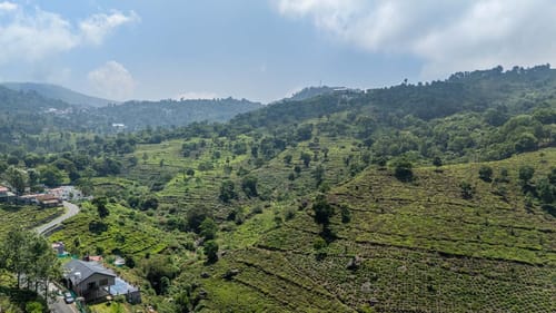 Ambrosia - Kotagiri – 4 bedroom villa in Ooty, Tamil Nadu