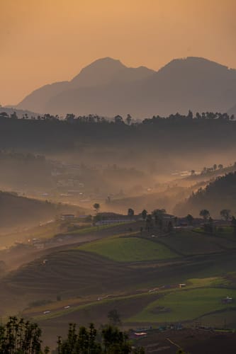 Under The Stars – 3 bedroom villa in Ooty, Tamil Nadu