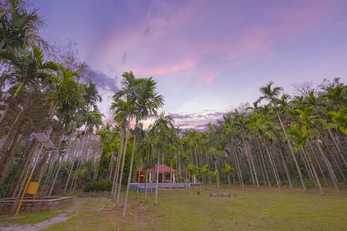 Tall Silver – 2 bedroom villa in Coorg, Karnataka