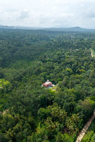 The Canopy – 3 bedroom villa in Coorg, Karnataka