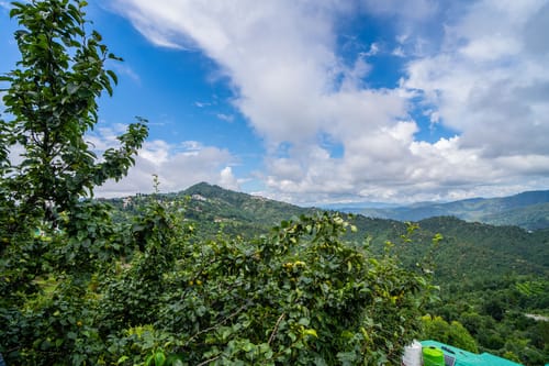 Trio’s Top | Hilltop Pet-friendly 2-BHK with Shared Sit-out Area, Stepped Garden & Hill Views – 2 bedroom villa in Mukteshwar, Uttarakhand