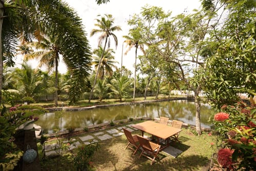 Palliath House | 1 Pond-facing Room with Shared Lawn, Patio and Ponds | Proximity to the Beach, Ocean, and Estuary – 1 bedroom villa in Alappuzha, Kerala