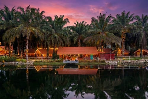 Nomad's Nook – 6 bedroom villa in Coorg, Karnataka