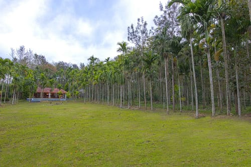 Tall Silver – 2 bedroom villa in Coorg, Karnataka