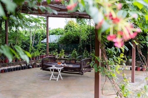 Idyllic Farmhouse - A Glasshouse w/ Outdoor Pool – 3 bedroom villa in Delhi-ncr, Haryana