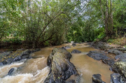 The River Mist – 4 bedroom villa in Wayanad, Kerala