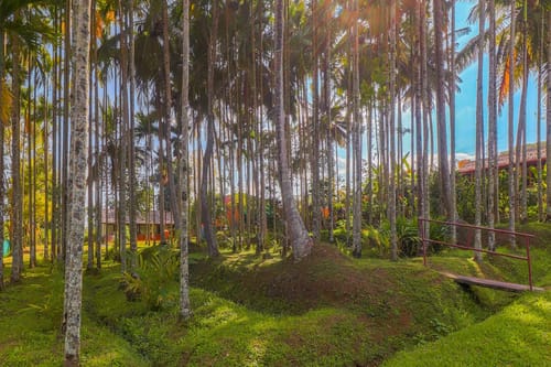 Firefly by the River – 5 bedroom villa in Coorg, Karnataka