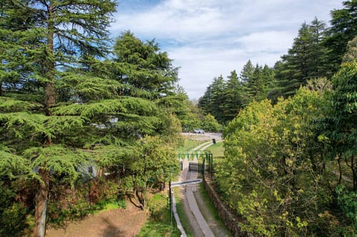 Everest Base Camp – 7 bedroom villa in Mussoorie, Uttarakhand