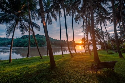 Toya Toya – 3 bedroom villa in Kozhikode, Kerala