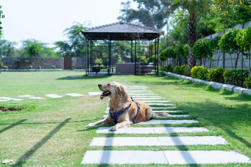 Auric Acres - Sohna – 11 bedroom villa in Delhi-ncr, Haryana