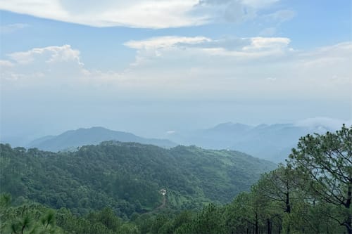 Alpenglow | Pet-friendly 3-BHK Hillside Villa With Garden & Scenic views – 3 bedroom villa in Kasauli, Himachal Pradesh