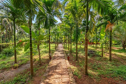 Vatika Nature Nest - Mirjan – 4 bedroom villa in Gokarna, Karnataka