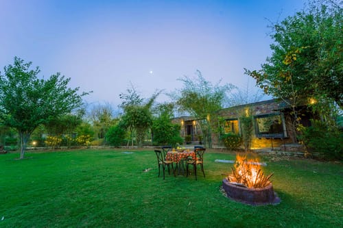 Premium Room @ Mulberry Tree House – 4 bedroom villa in Jaipur, Rajasthan
