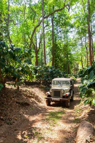 Mercara Hill – 3 bedroom villa in Coorg, Karnataka