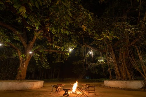 Rustic Respite – 4 bedroom villa in Bandhavgarh, Madhya Pradesh
