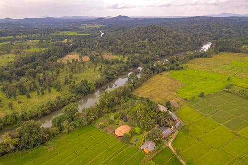 Firefly by the River – 5 bedroom villa in Coorg, Karnataka