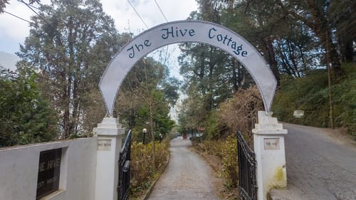 The Hive Cottage | Serene 9-Rooms Hillside Resort With Suites, Restaurant, & Outdoor Seating | Ample Parking – 9 bedroom villa in Nainital, Uttarakhand