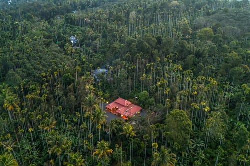 The River Mist – 4 bedroom villa in Wayanad, Kerala