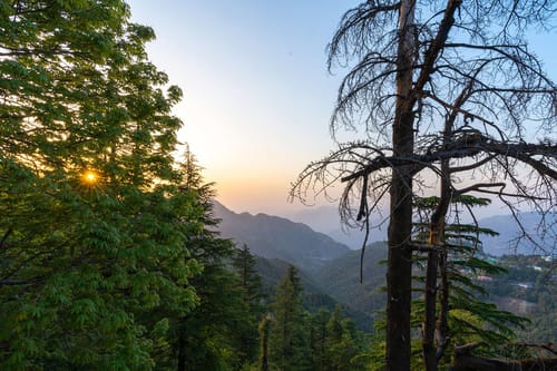 Mellow Cottage – 3 bedroom villa in Mussoorie, Uttarakhand