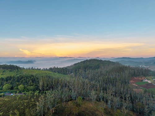 Dsquare – 4 bedroom villa in Ooty, Tamil Nadu