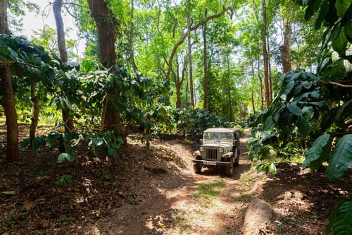 Crystal Homestay – 4 bedroom villa in Coorg, Karnataka