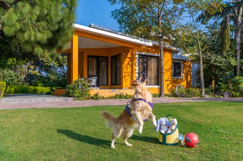 Artha @ The Manvi Estate – 2 bedroom villa in Delhi-ncr, Delhi