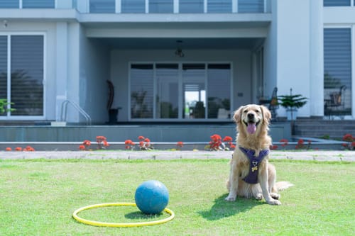 Francolin Farmstay - Sohna – 5 bedroom villa in Delhi-ncr, Haryana