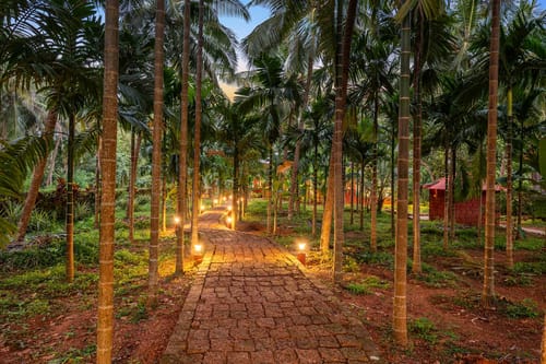 Dove @ Vatika Nature Nest - Mirjan – 1 bedroom villa in Gokarna, Karnataka