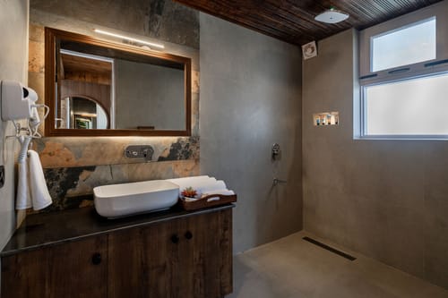 Flow @ The River Story - Raison – 4 bedroom villa in Manali, Himachal Pradesh