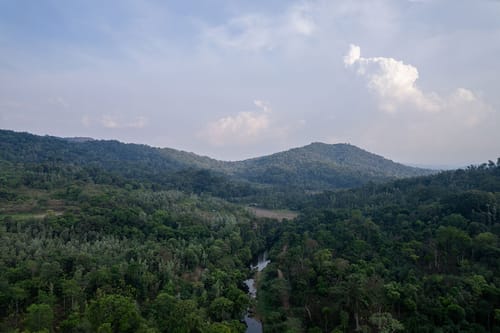 Villa Estuaire – 2 bedroom villa in Coorg, Karnataka