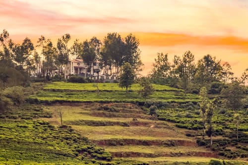 Villa Misty Oaks – 3 bedroom villa in Ooty, Tamil Nadu