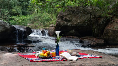Nandanvan Estate - Coffee Estate Near Kodaikanal, Tamil Nadu – 3 bedroom villa in Kodaikanal, Tamil Nadu