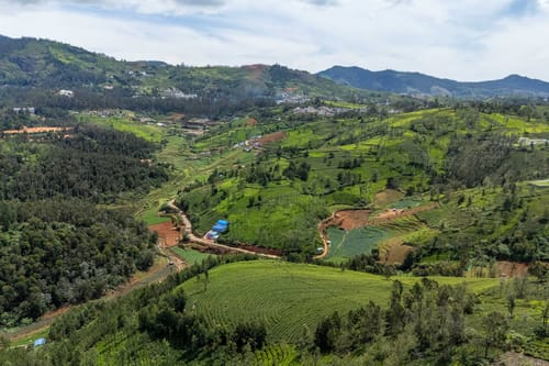 Rustling Pine – 2 bedroom villa in Ooty, Tamil Nadu