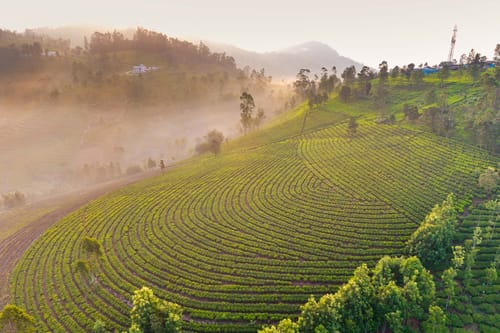 Valley Whispers – 2 bedroom villa in Ooty, Tamil Nadu