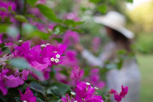 Hamptons Charm – 5 bedroom villa in Alibaug, Maharashtra