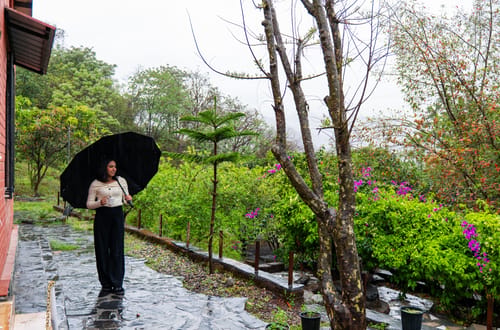 Zephyr Heaven | 1-Hillview Room with Common Pool, Gym & On-Site Restaurant – 1 bedroom villa in Mussoorie, Uttarakhand