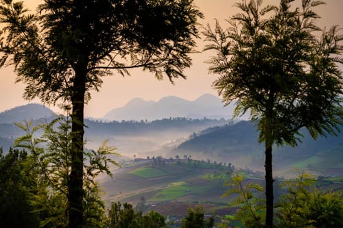 Under The Stars – 3 bedroom villa in Ooty, Tamil Nadu