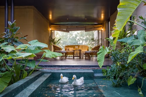 Hari Bagh Farmhouse | Pet-friendly Organic Farm With Art Nook, Pond & Gaming Room – 4 bedroom villa in Jaipur, Rajasthan