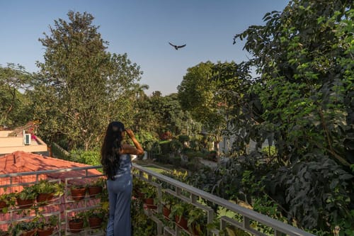 Villa Bali – 4 bedroom villa in New delhi, Delhi