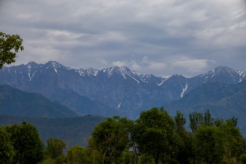 Esh Cottages Willow | Hillside 1-room Retreat With Lush Garden, Common Pool & Restaurant – 1 bedroom villa in Palampur, Himachal Pradesh