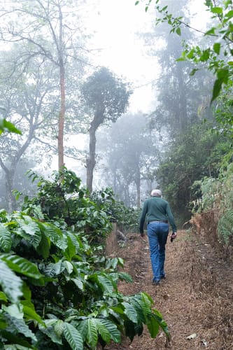 Mercara Hill – 3 bedroom villa in Coorg, Karnataka