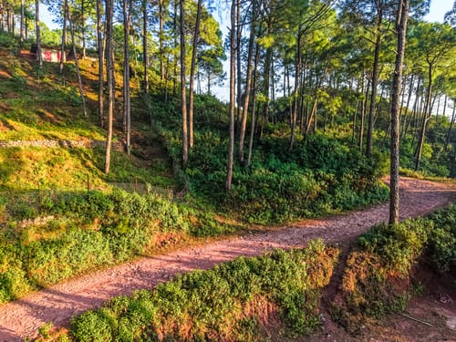 Stars and WindSongs | 1 Hilltop Suite with Shared Pool, Bonfire, Game Zone, Alfresco Dining & Relaxing Garden Spaces – 1 bedroom villa in Nahan, Himachal Pradesh