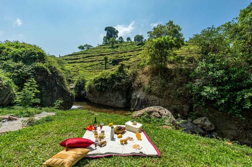 Ambrosia - Kotagiri – 4 bedroom villa in Ooty, Tamil Nadu