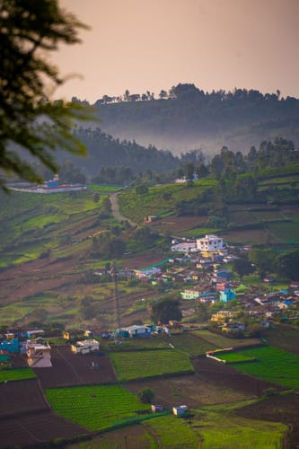 Under The Stars – 3 bedroom villa in Ooty, Tamil Nadu
