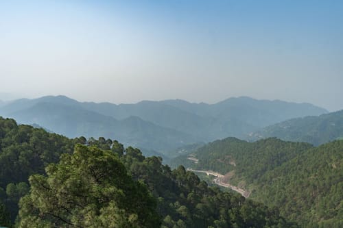 Chapter 2 @ The Ever House – 5 bedroom villa in Kasauli, Himachal Pradesh