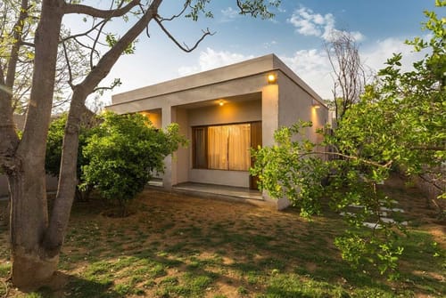 The Owl House – 4 bedroom villa in Jaipur, Rajasthan