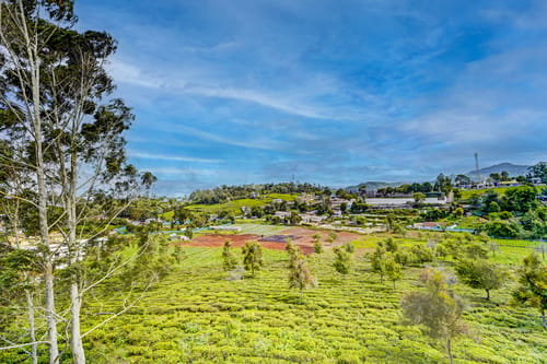 Cleft | 3-BHK With Garden, Picturesque Verandah & Balcony With Views – 3 bedroom villa in Ooty, Tamil Nadu
