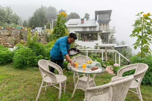 Hydrangea Hill (Garden)