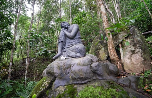 Panchavadi | Tree House On 10-acre Land With Natural Pool, Garden & Restro